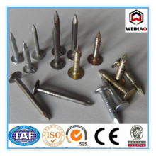 Fabricant Coil Roofing Nails